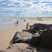 Blick auf Meer, Strand und Duenen