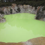 Thermalschlamm-Quelle im Wai-O-Tapu-Wonderland nahe Rotorua III