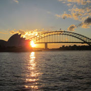 Opera House und Harbour Bridge bei Sonnenuntergang II