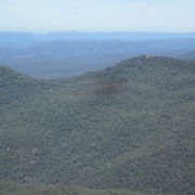 Ein Blick in den Blue Mountains-Nationalpark