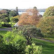 Blick ueber den Royal Botanic Garden in Sydney