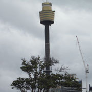 Der SydneyTower
