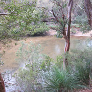Fluss im Ku-ring-gai Nationalpark noerdlich von Sydney