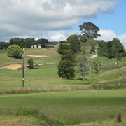 Landschaftsblick zwischen Hamilton und Taupo