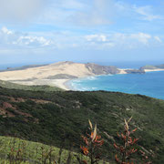 Blick auf Cape Reinga I