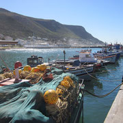 Fischkutter im Hafen von Kalk Bay