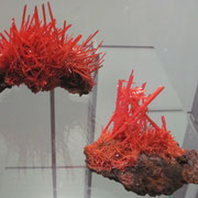 Mineral im Australian Museum in Sydney III