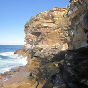 Felsklippen zwischen Bondi und Coogee