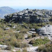 Die Oberseite des Tafelbergs II