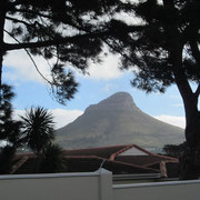 Blick auf den Lion's Head I