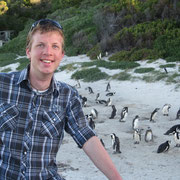 Pinguin-Kolonie an Boulders Beach bei Simonstown