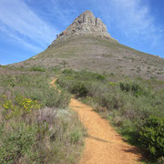 Der Wanderweg hinauf auf den Lion's Head