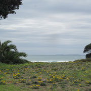 Blick auf's Meer in Mount Manganui