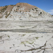Kalksteinfelsen bei Kaikoura