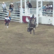 Bull Riding auf der Easter Show