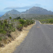 Der Cape Peninsula Nationalpark II