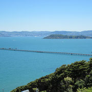 Blick von Sabine's Balkon Richtung Wellington