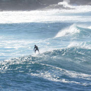 Surfer in Bronte Beach
