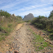 Wanderweg in Richtung Lion's Head