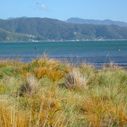Blick von Petone Beach Richtung Eastbourne (gegenueber von Wellington)