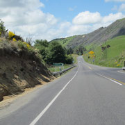 Landschaftsbild auf der Rueckfahrt nach Wellington