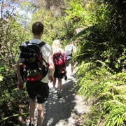 Wanderung auf den letzten Kilometern in niedrigeren Gefilden