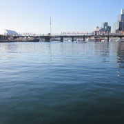 Darling Harbour II