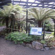 Das tropische Gewaechshaus der Familie Mona Vale in Christchurch