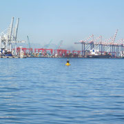 Kraene im Industrie-Hafen Kapstadts