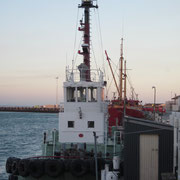 Fischkutter im Hafen von Timaru