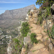 Der Wanderweg am Abhang des Lion's Heads