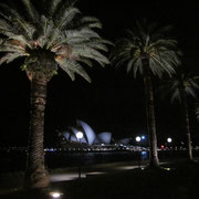 Naechtlicher Blick auf das Opera House mit Palmen im Vordergrund :-)