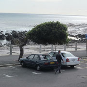 Immer viel Wind in Clifton