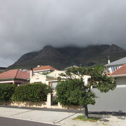 Blick auf den Devil's Peak V