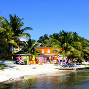 CAYE CAULKER ISLAND [BELIZE]