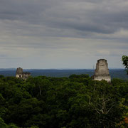 VIEW FROM TEMPLO V [TIKAL/GUATEMALA]