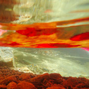 BLANC FONTENILLE Benedicte, " Red Shadow", Photo sur Dibond, 60/40cm,280€,DISPONIBLE A L EMPRUNT