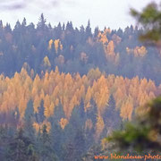 Parc National de Koli