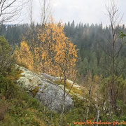 Parc National de Koli