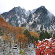 初雪