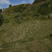 Ormaig Landart Project with view from Forestry road. Photography: Aaron Watson