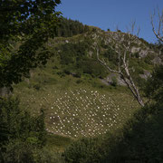 Ormaig Landart Project with view from Forestry road approaching Ormaig. Photography: Aaron Watson