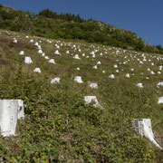 The slope at Ormaig. Photography: Aaron Watson