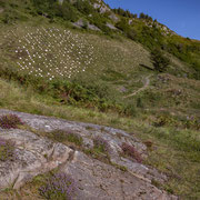 Ormaig rockart site with Ormaig Landart Project in the background. Photography: Aaron Watson