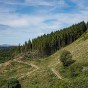 Ormaig Landart Project with view from Forestry road. Photography: Aaron Watson