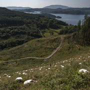 Marvellous view from the top of the installation with the isles of Scarba and Jura in the background. Photography: Aaron Watson