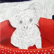DESSIN, MISE EN PLACE du FOND