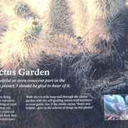 im Kaktusgarten