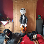 Keela, Eivie und ihr Freund Jack