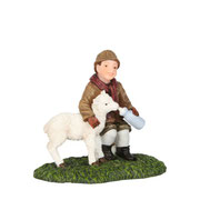 603049-Oliver Barton feeding his sheep
